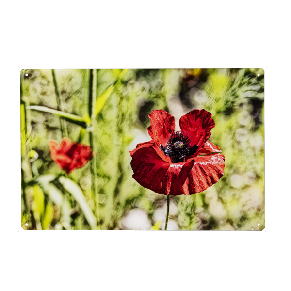 Holzbild "Mohnblume im Detail" artboxONE - Natur,Floral - Blumen,Blume,Mohnblume,Natur,Floral,Pflanze