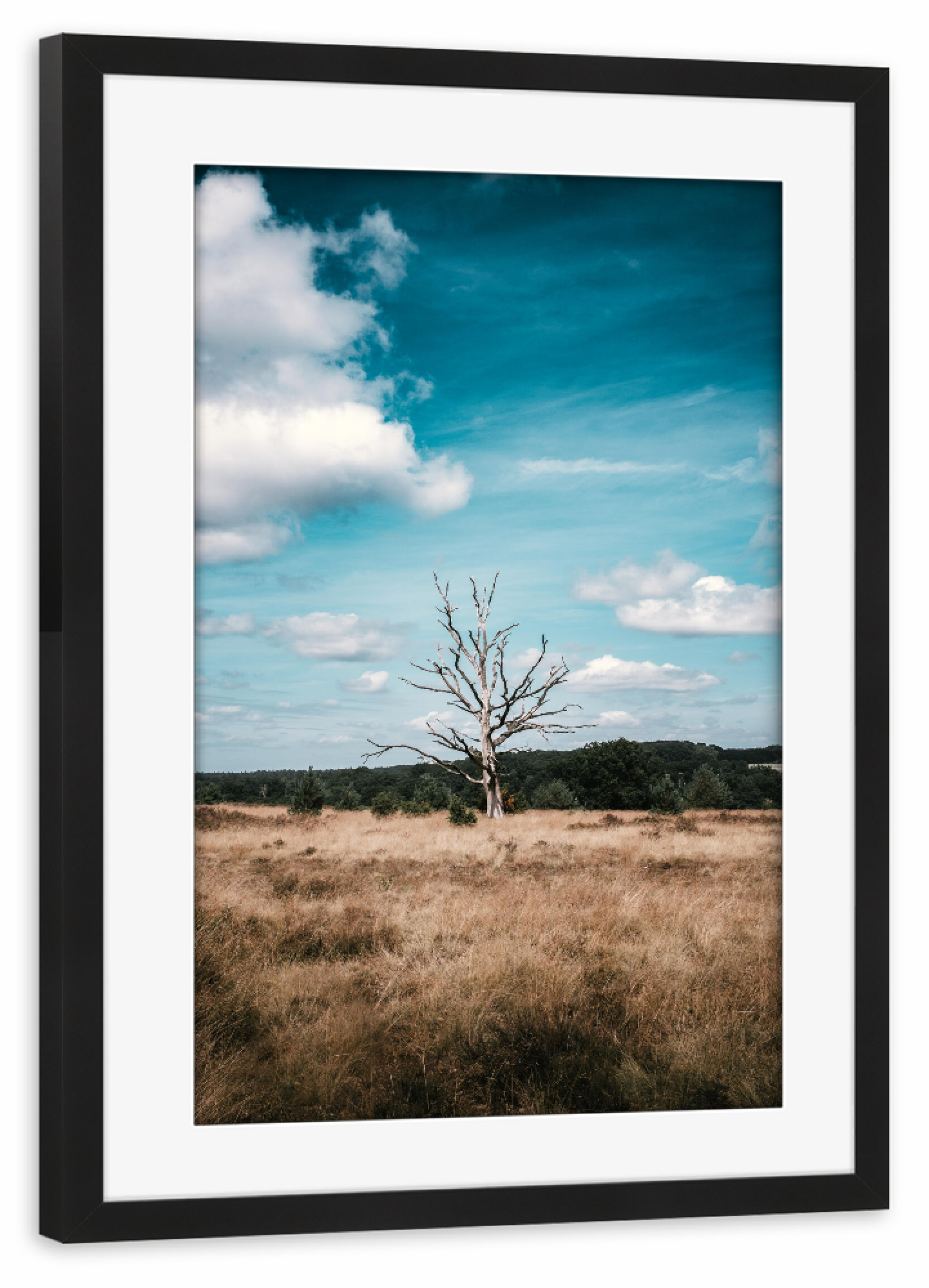 Poster mit Rahmen schwarz "Baum in der Lüneburger Heide" artboxONE - Natur,Reise,Reise / Länder