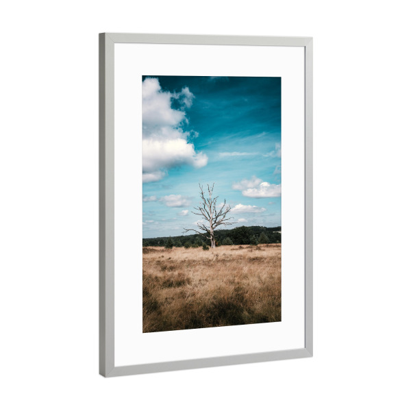 Poster mit Rahmen Silber "Baum in der Lüneburger Heide" artboxONE - Natur,Reise,Reise / Länder