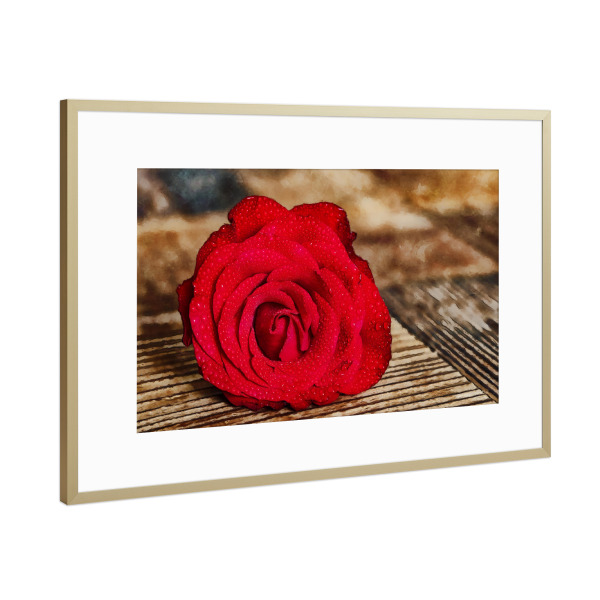 Poster mit Rahmen Gold "Rote Rose auf Holztisch" artboxONE - Natur - Rose,Rote rose,Blume,Natur,Liebe