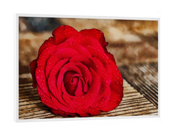 Poster mit weißem Rahmen "Rote Rose auf Holztisch" artboxONE - Natur - Rose,Rote rose,Blume,Natur,Liebe
