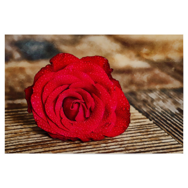 Poster 30x20 cm "Rote Rose auf Holztisch" artboxONE - Natur - Rose,Rote rose,Blume,Natur,Liebe