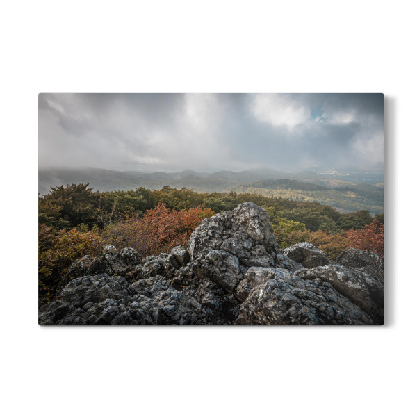 Galerie-Print "Siebengebirge" 30x20 cm artboxONE