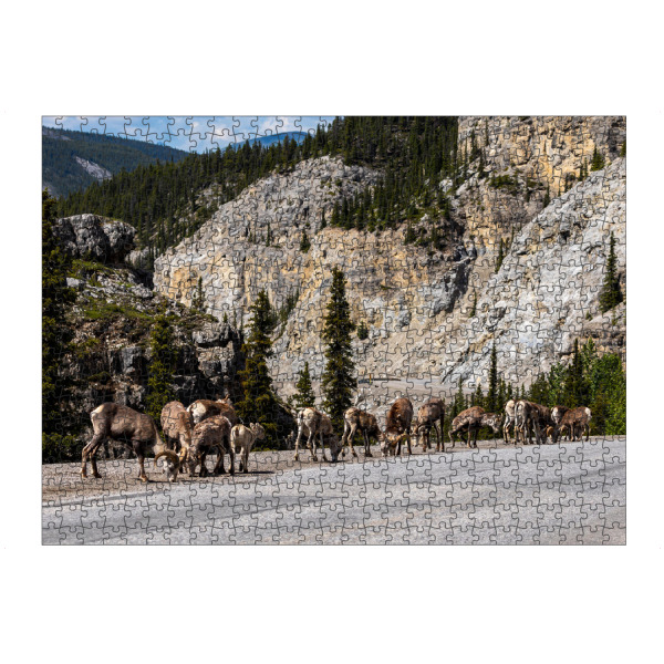 artboxONE Puzzle "Rocky Mountains Dickhornschafe" artboxONE - Natur,Tiere
