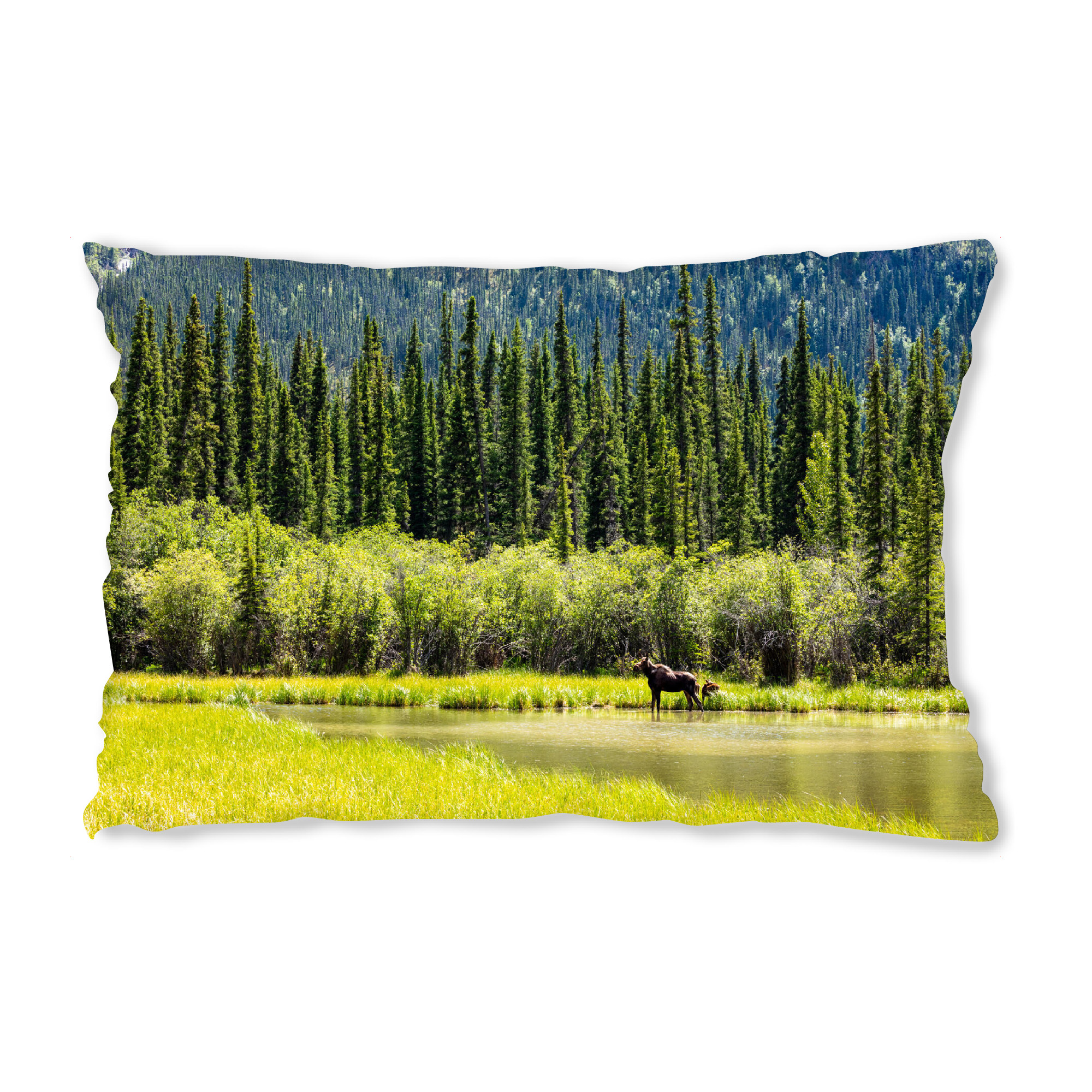 Design-Kissen "Elch in der Wildnis Alaskas" artboxONE - Natur,Tiere - Elch,Elchkuh,Kalb,Kälber,Wildnis,Alaska,Rocky mountains,Kanada,Wildlife