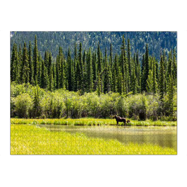 Puzzle Ravensburger "Elch in der Wildnis Alaskas" artboxONE - Natur,Tiere - Elch,Elchkuh,Kalb,Kälber,Wildnis,Alaska,Rocky mountains,Kanada,Wildlife