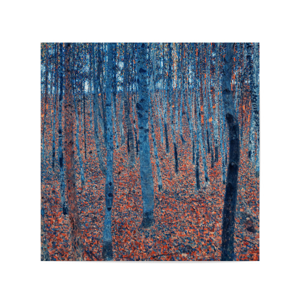 Poster 20x20 cm "Buchenhain" artboxONE - Natur,Reise