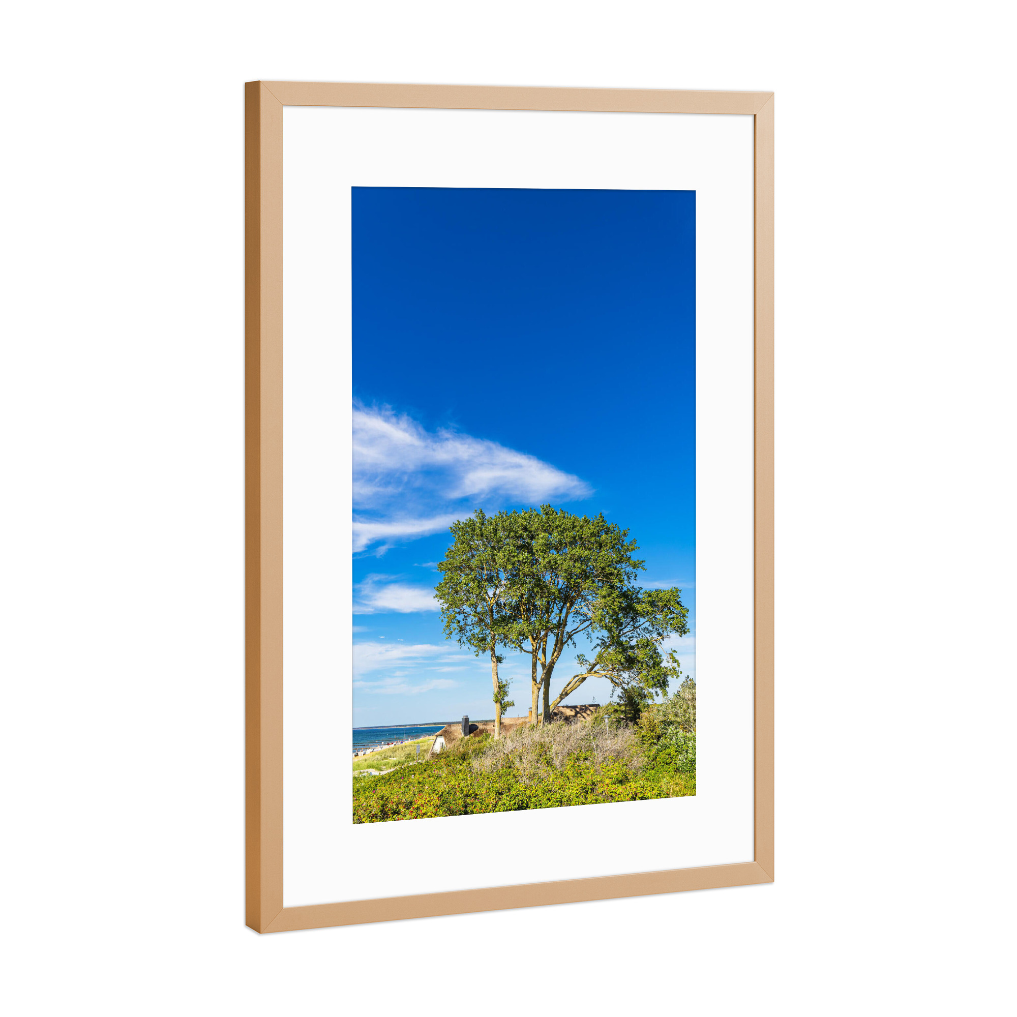 Poster mit Rahmen Kupfer "Düne, Haus, Baum, Meer" artboxONE - Natur,Reise,Architektur,Reise / Strand und Meer