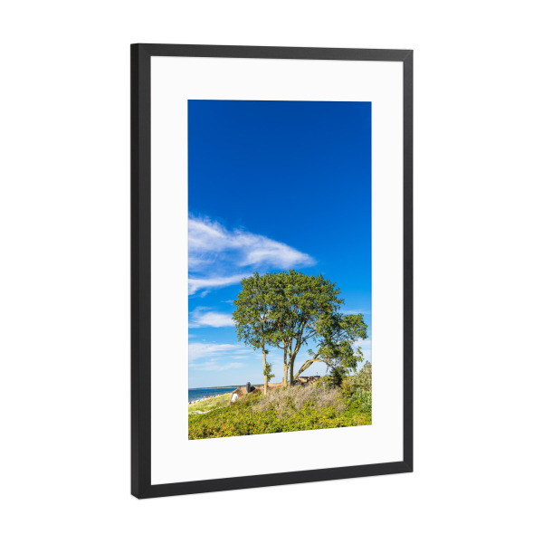 Poster mit Rahmen Schwarz (Metallic) "Düne, Haus, Baum, Meer" artboxONE - Natur,Reise,Architektur,Reise / Strand und Meer