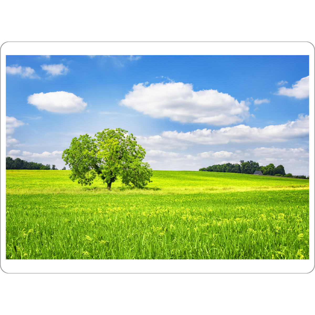 Tischset "Französische Landschaft" artboxONE - Natur,Reise,Reise / Länder,Für Mama,Für Papa