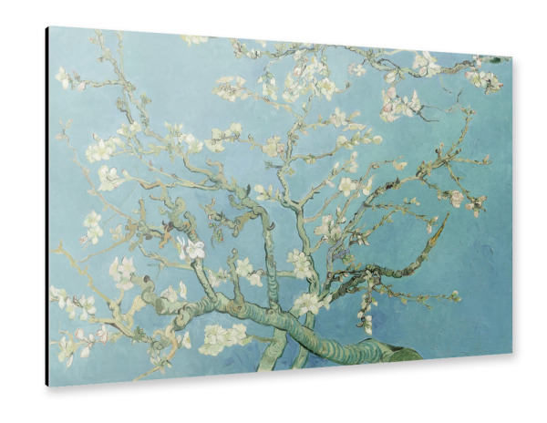 Alu-Dibond "Mandelblüte" 30x20 cm artboxONE