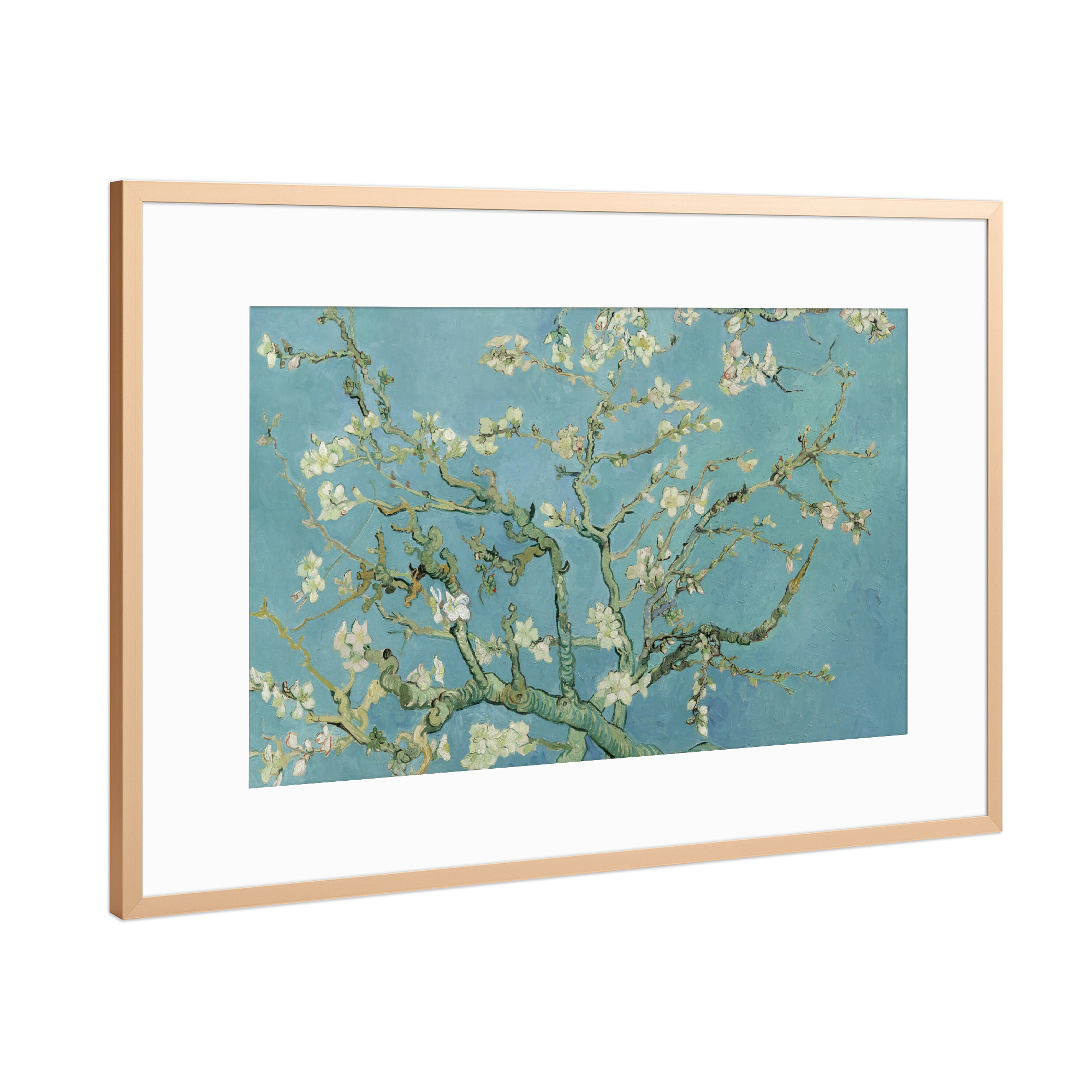 Poster mit Rahmen Kupfer "Mandelblüte" artboxONE - Natur,Floral