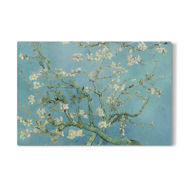 Galerie-Print "Mandelblüte" 30x20 cm artboxONE