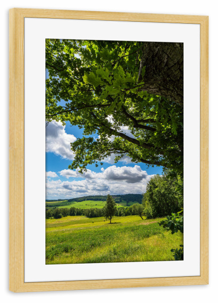 Poster mit Rahmen kiefer "Baum, Wolken, Feld, Wald" artboxONE - Natur,Reise