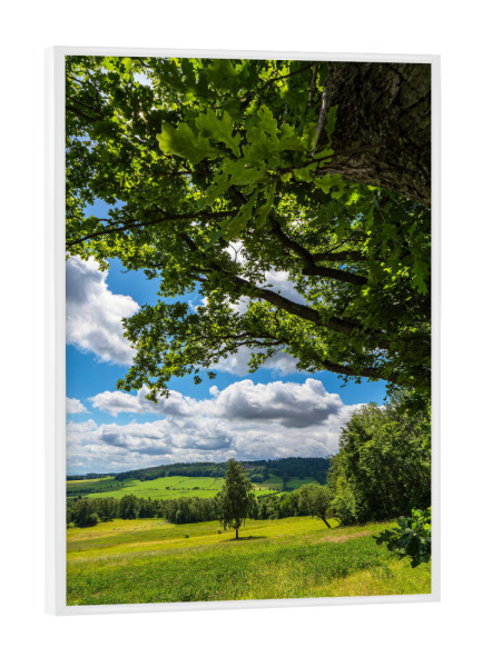 Poster mit weißem Rahmen "Baum, Wolken, Feld, Wald" artboxONE - Natur,Reise