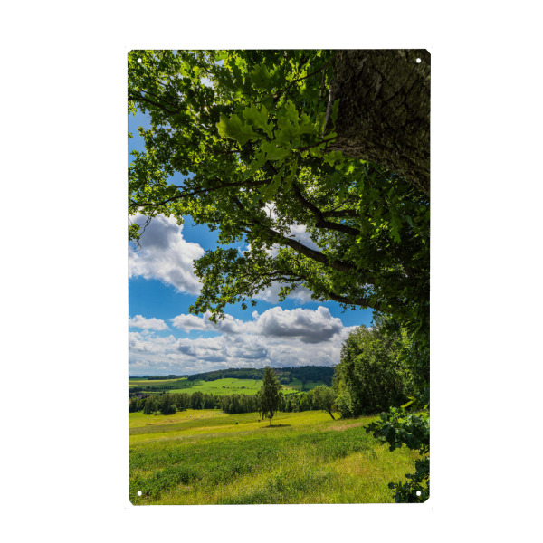 Metall Poster "Baum, Wolken, Feld, Wald" artboxONE - Natur,Reise