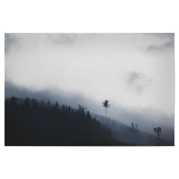 Poster "Nebelstimmung im Wald" artboxONE - Natur