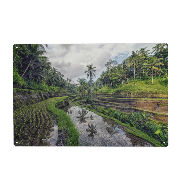 Metall Poster "Bali-Landschaft" artboxONE - Natur,Reise,Reise / Asien,Reise / Länder