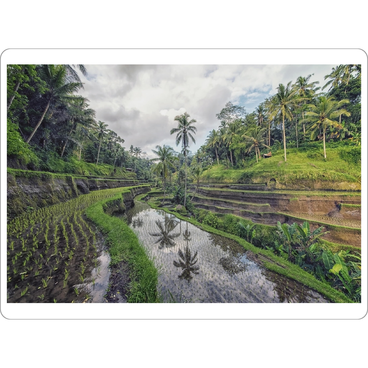 Tischset "Bali-Landschaft" artboxONE - Natur,Reise,Reise / Asien,Reise / Länder