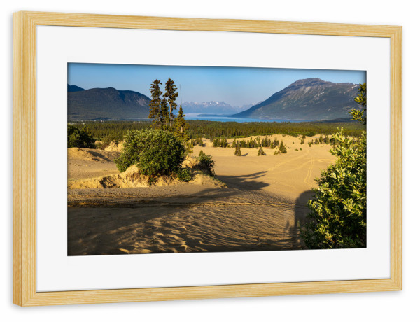 Poster mit Rahmen kiefer "Carcross in Kanada" artboxONE - Natur - Wüste,Kanada,Carcross,Dünen,Sand,Landschaft,Natur,Yukon,Alaska highway