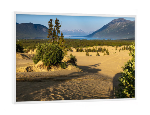 Poster mit weißem Rahmen "Carcross in Kanada" artboxONE - Natur - Wüste,Kanada,Carcross,Dünen,Sand,Landschaft,Natur,Yukon,Alaska highway