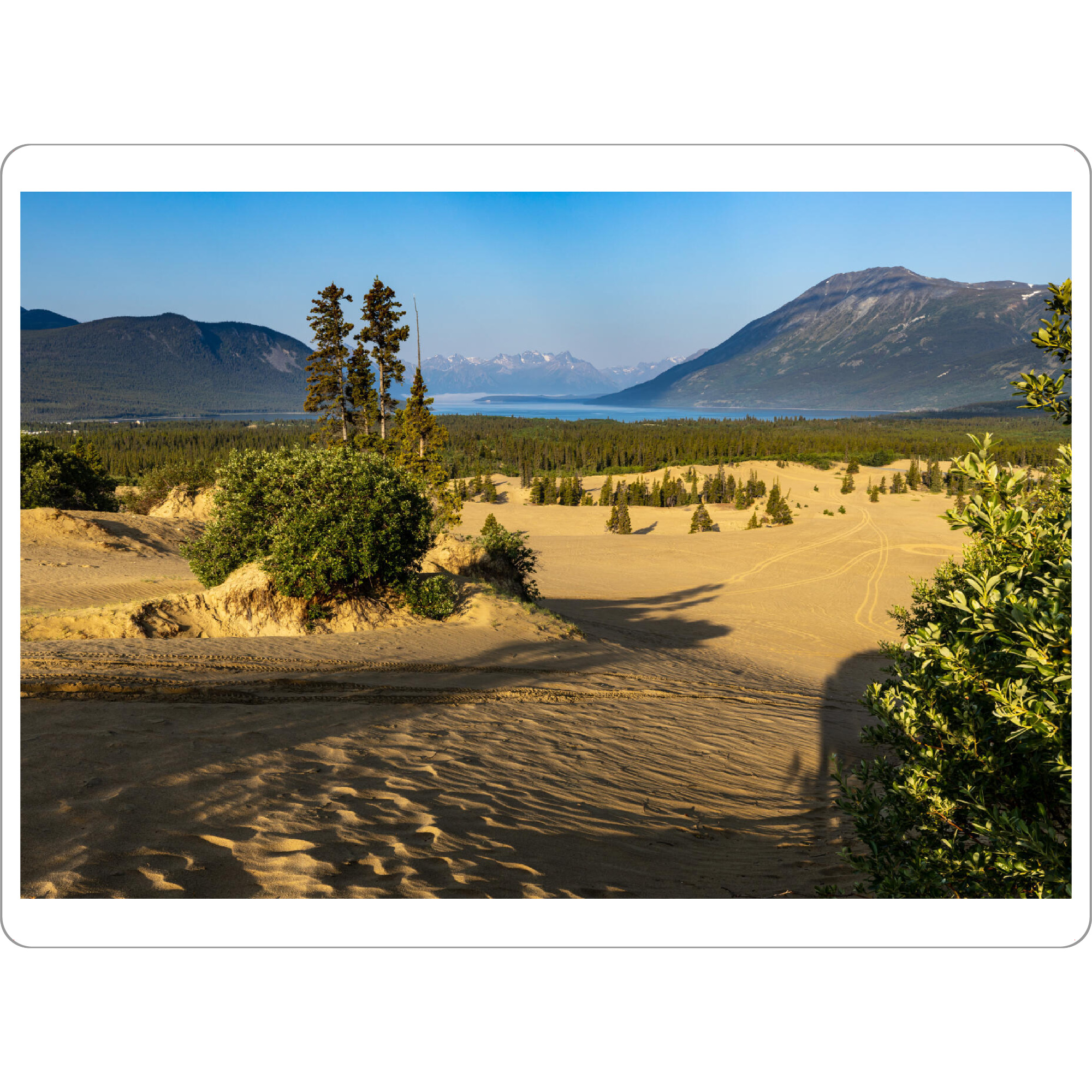 Tischset "Carcross in Kanada" artboxONE - Natur - Wüste,Kanada,Carcross,Dünen,Sand,Landschaft,Natur,Yukon,Alaska highway - Bild wüste