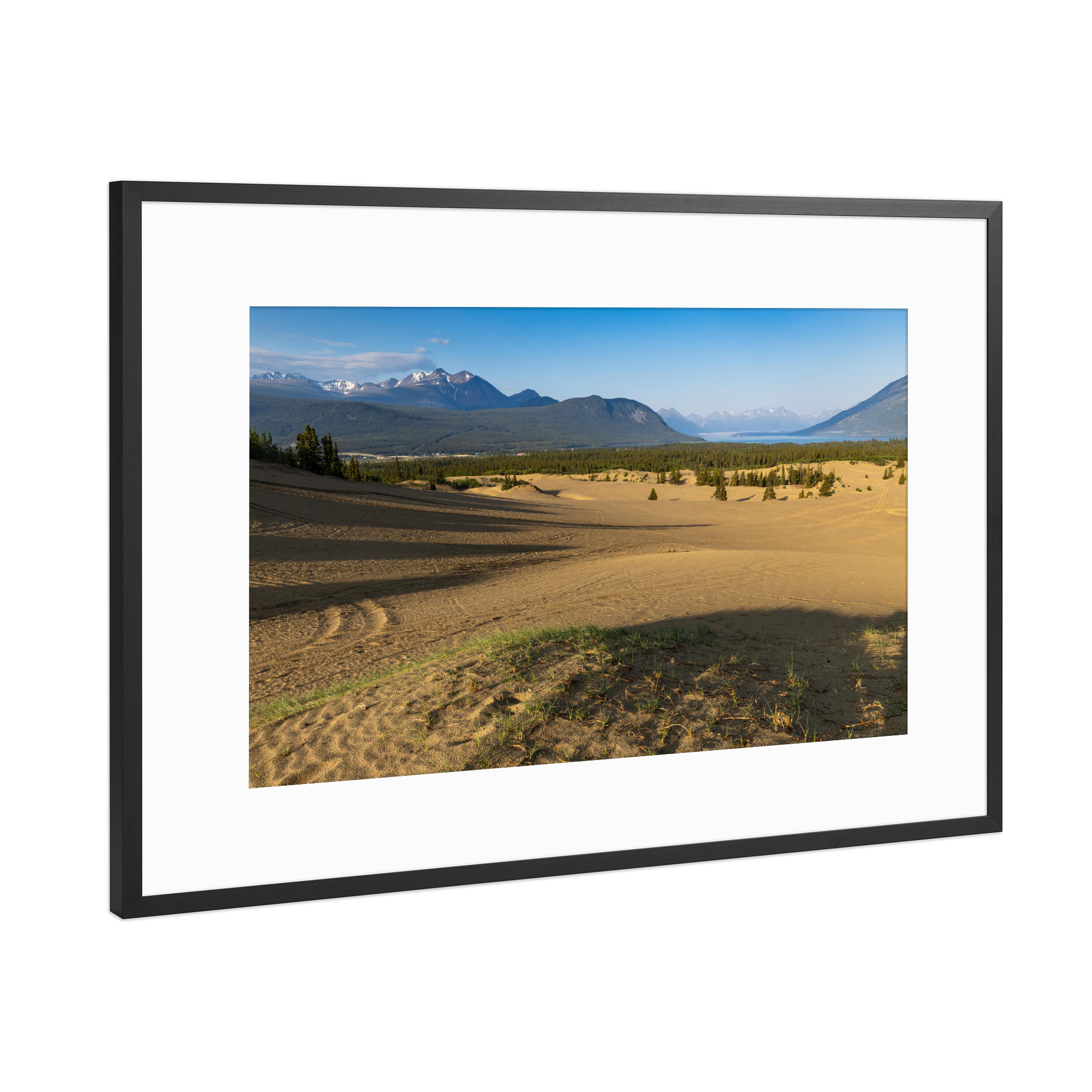 Poster mit Rahmen Schwarz (Metallic) "Wüste von Carcross" artboxONE - Natur - Wüste,Kanada,Carcross,Dünen,Sand,Landschaft,Natur,Yukon,Alaska highway