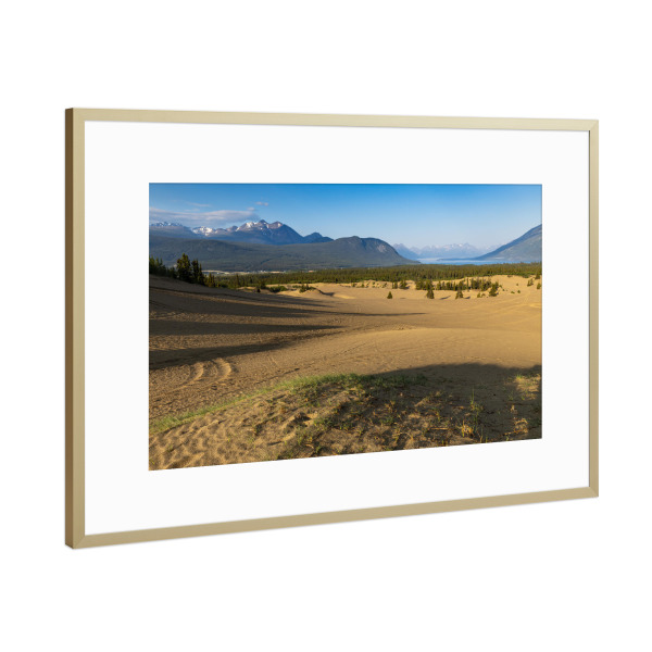 Poster mit Rahmen Gold "Wüste von Carcross" artboxONE - Natur - Wüste,Kanada,Carcross,Dünen,Sand,Landschaft,Natur,Yukon,Alaska highway
