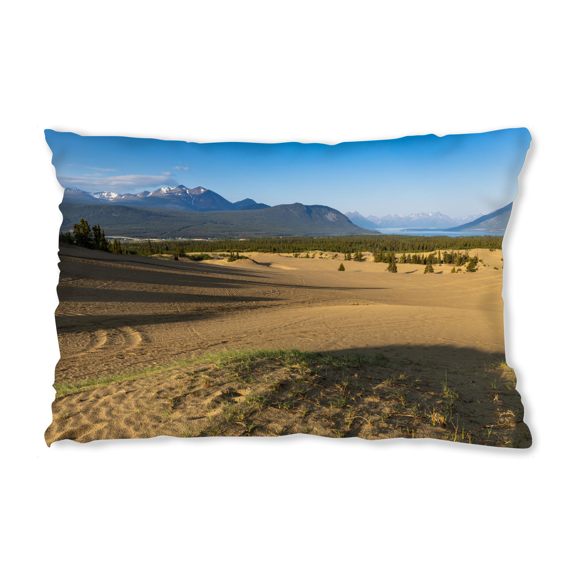 Design-Kissen "Wüste von Carcross" artboxONE - Natur - Wüste,Kanada,Carcross,Dünen,Sand,Landschaft,Natur,Yukon,Alaska highway - Bild wüste