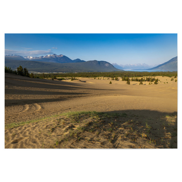 Poster "Wüste von Carcross" artboxONE - Natur - Wüste,Kanada,Carcross,Dünen,Sand,Landschaft,Natur,Yukon,Alaska highway