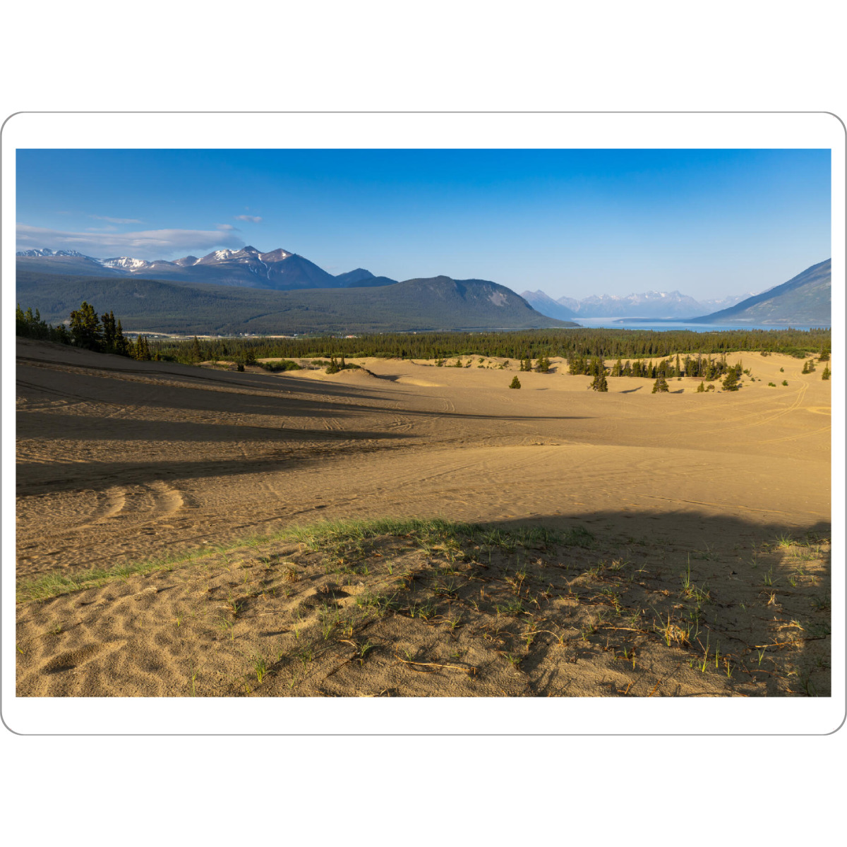 Tischset "Wüste von Carcross" artboxONE - Natur - Wüste,Kanada,Carcross,Dünen,Sand,Landschaft,Natur,Yukon,Alaska highway - Bild wüste