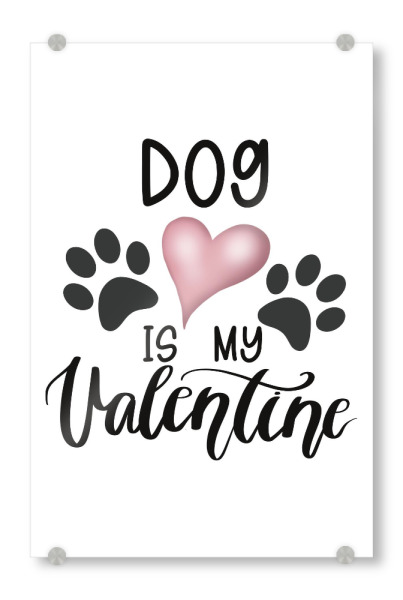 Acrylglasbild "Hund ist mein Valentinsgruß" artboxONE - Liebe,Fashion,Buchstaben,Für Mama,Festivals