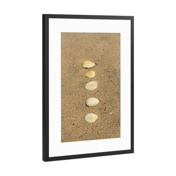 Poster mit Rahmen Schwarz (Metallic) "Muscheln in Portugal" artboxONE - Natur,Reise,Floral,Für Kinder,Abstrakt