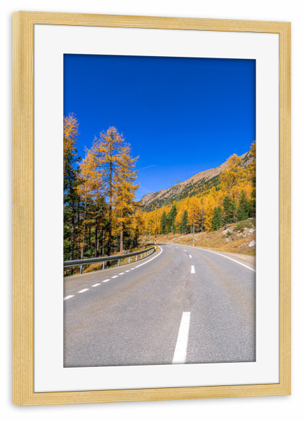 Poster mit Rahmen kiefer "Herbststrasse" artboxONE - Natur,Reise,Reise / Länder