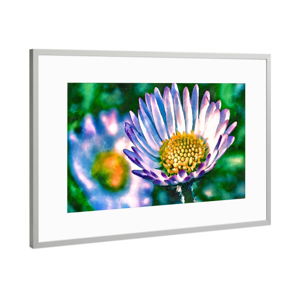 Poster mit Rahmen Silber "Gänseblümchen Aquarell" artboxONE - Floral,Abstrakt - Gänseblümchen,Blumen,Aquarell