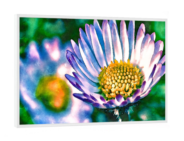 Poster mit weißem Rahmen "Gänseblümchen Aquarell" artboxONE - Floral,Abstrakt - Gänseblümchen,Blumen,Aquarell