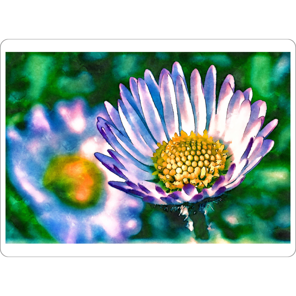 Tischset "Gänseblümchen Aquarell" artboxONE - Floral,Abstrakt - Gänseblümchen,Blumen,Aquarell - Bild gänseblümchen