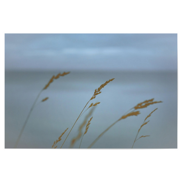 Poster 30x20 cm "Ostseeblick Nienhagen" artboxONE - Natur,Reise,Reise / Strand und Meer