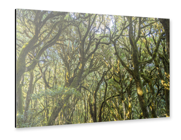 Alu-Dibond "Nationalpark Garajon" 30x20 cm artboxONE