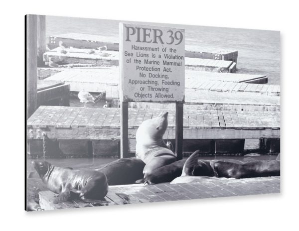 Alu-Dibond "Pier 39 at SFO" 30x20 cm artboxONE