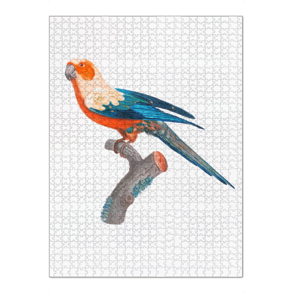 Puzzle Ravensburger "Naturgeschichte der Papageien" artboxONE - Natur,Floral,Tiere