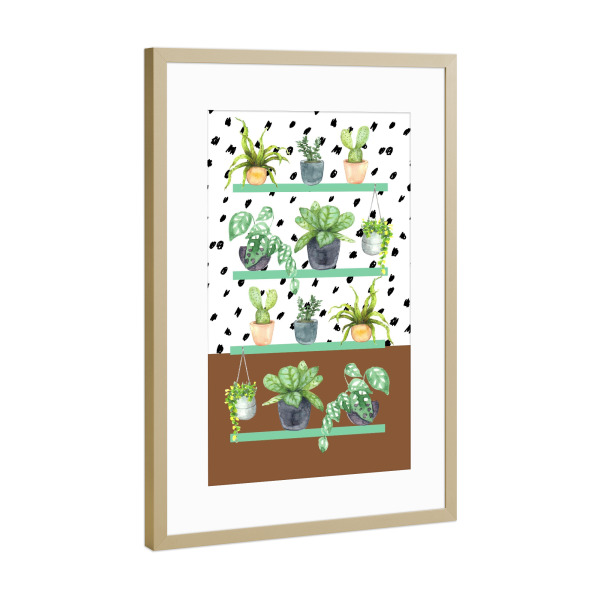 Poster mit Rahmen Gold "Zimmerpflanze Illustration" artboxONE - Natur,Floral