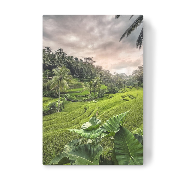 Leinwandbild "Tegallalang-Sonnenuntergang" artboxONE - Natur,Reise,Reise / Asien,Reise / Länder