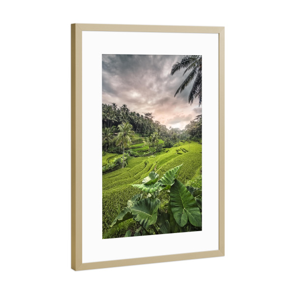 Poster mit Rahmen Gold "Tegallalang-Sonnenuntergang" artboxONE - Natur,Reise,Reise / Asien,Reise / Länder