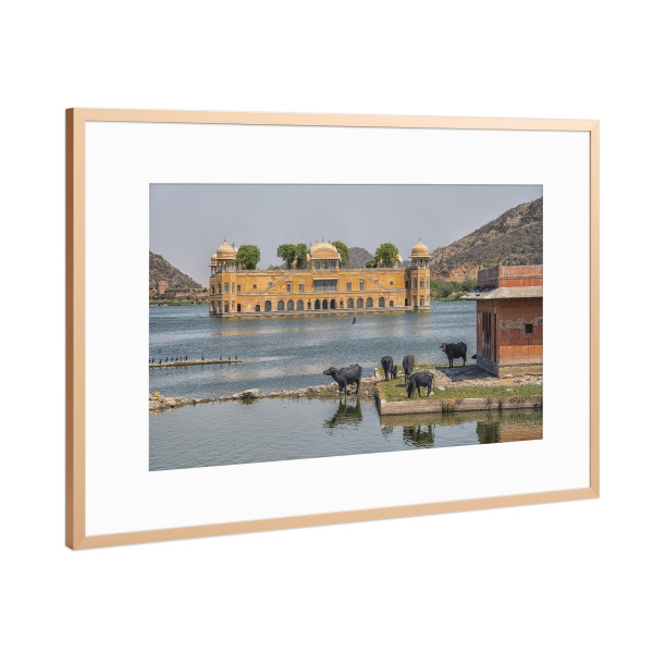 Poster mit Rahmen Kupfer "Jal Mahal" artboxONE - Reise,Architektur,Reise / Asien,Reise / Länder,Städte / Weitere