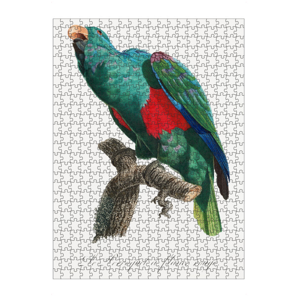 Puzzle Ravensburger "Der Edelpapagei" artboxONE - Natur,Reise,Für Kinder,Tiere
