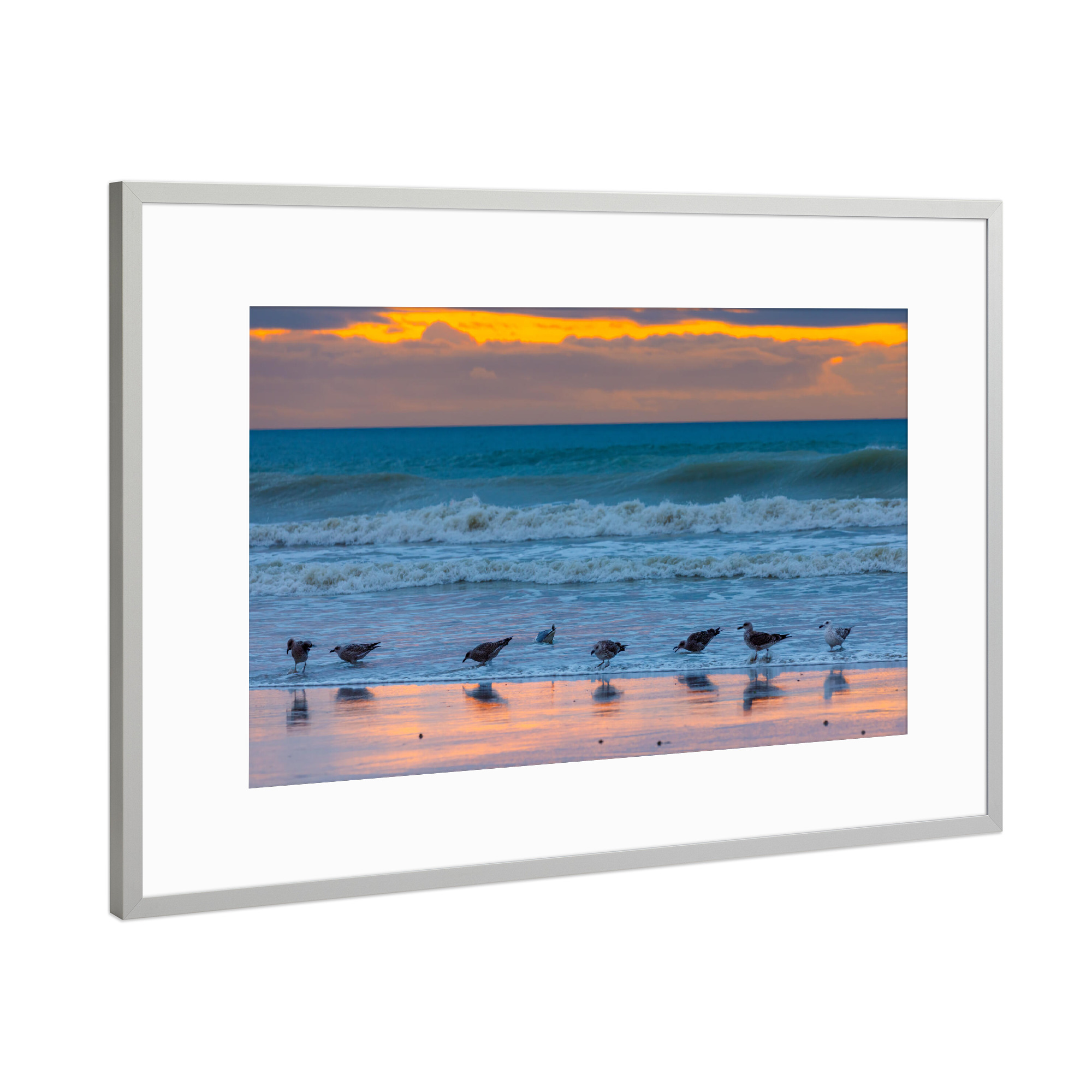 Poster mit Rahmen Silber "Möwe am Strand" artboxONE - Natur,Tiere - Möwe,Strand,Sonnenuntergang,Meer,Ozean,Wellen,Landschaft,Natur