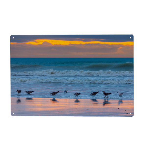 Metall Poster "Möwe am Strand" artboxONE - Natur,Tiere - Möwe,Strand,Sonnenuntergang,Meer,Ozean,Wellen,Landschaft,Natur - Blechschild