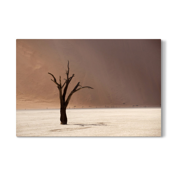 Galerie-Print "Wüste Deadvlei" 30x20 cm artboxONE