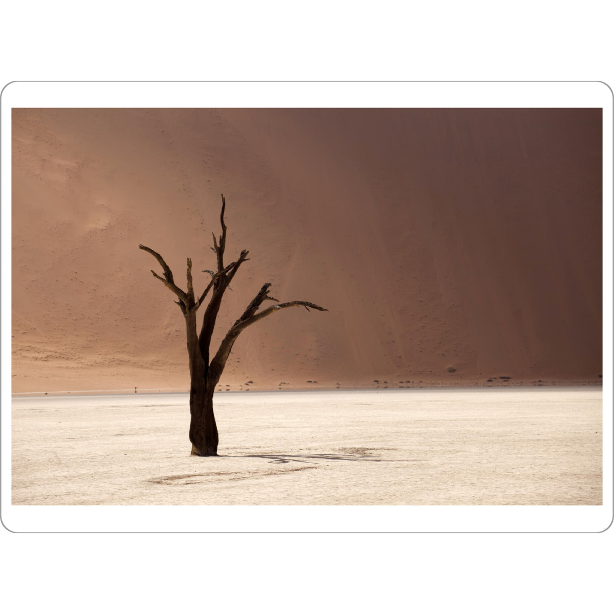 Tischset "Wüste Deadvlei" artboxONE - Reise / Afrika - Wüste,Deadvlei,Namib naukluft park,Namibia,Afrika,Sossusvlei,Baum - Bild wüste